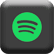 Buy Spotify Services