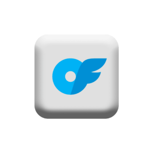 OnlyFans Followers